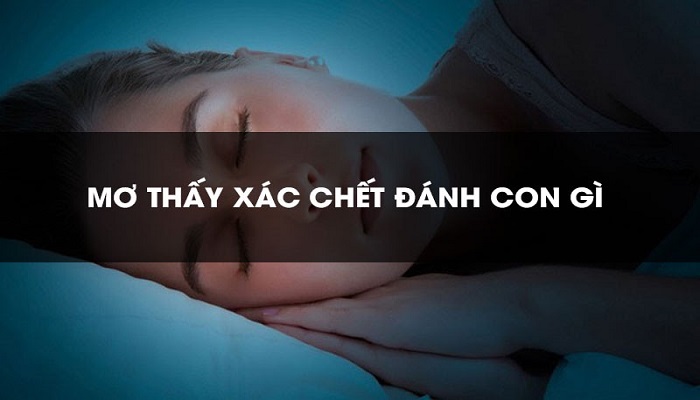 Mơ thấy xác chết đánh con gì chính xác nhất?